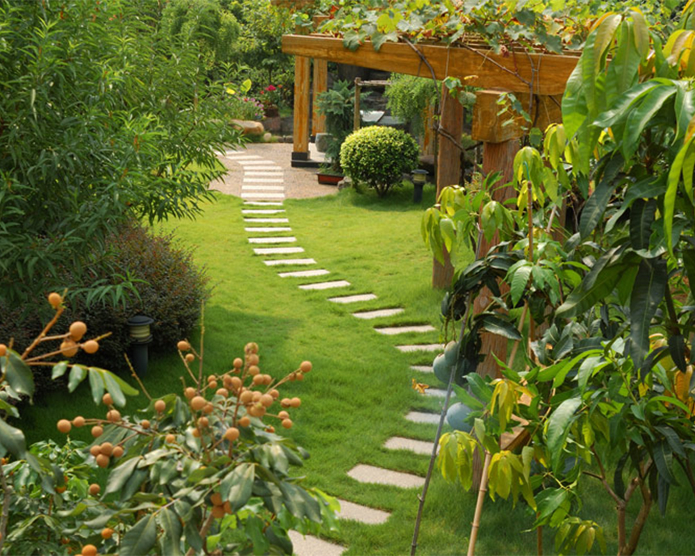 1. ტექნიკური სამუშაო