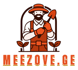 Meezove